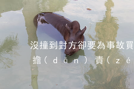 沒撞到對方，卻要為事故買單！是躺槍還是合理擔(dān)責(zé)？